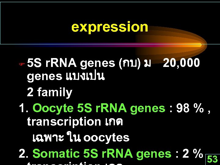 expression 5 S r. RNA genes (กบ) ม 20, 000 genes แบงเปน 2 family