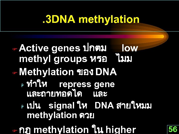 . 3 DNA methylation Active genes ปกตม low methyl groups หรอ ไมม F Methylation