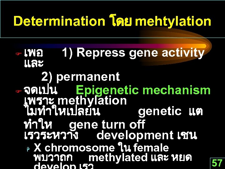 Determination โดย mehtylation เพอ 1) Repress gene activity และ 2) permanent F จดเปน Epigenetic