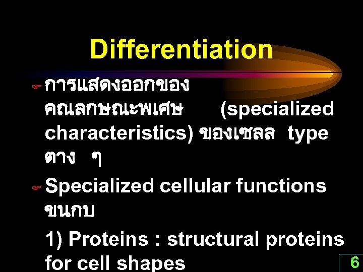 Differentiation การแสดงออกของ คณลกษณะพเศษ (specialized characteristics) ของเซลล type ตาง ๆ F Specialized cellular functions ขนกบ