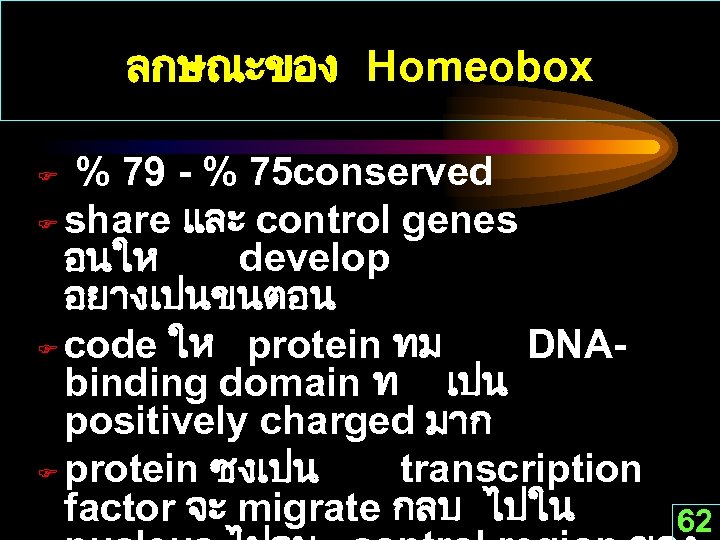 ลกษณะของ Homeobox % 79 - % 75 conserved F share และ control genes อนให