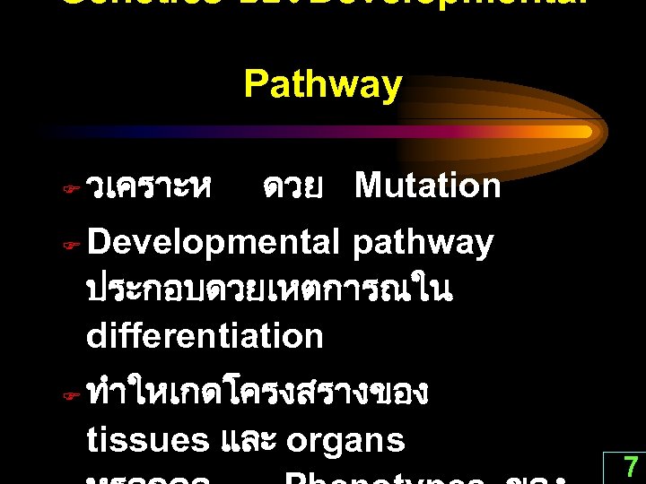 Genetics ของ Developmental Pathway F F F วเคราะห ดวย Mutation Developmental pathway ประกอบดวยเหตการณใน differentiation