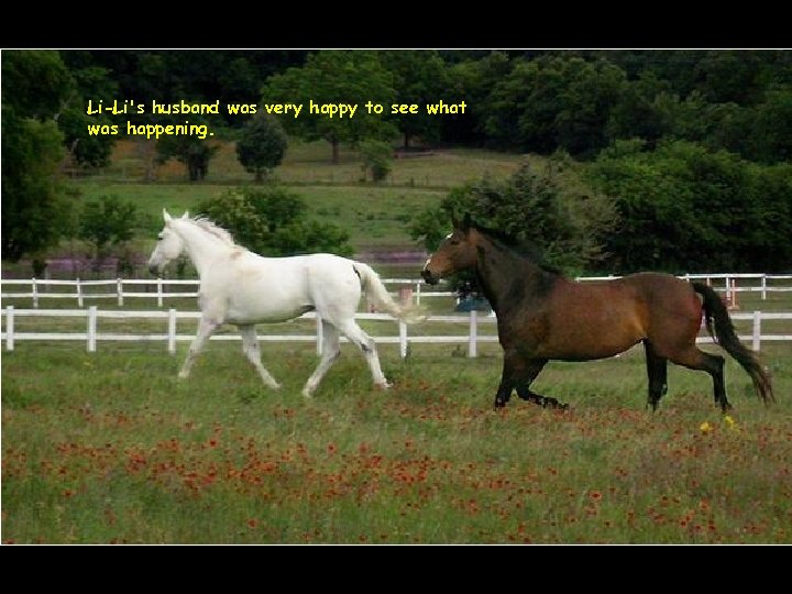 Li-Li's husband was very happy to see what was happening. 