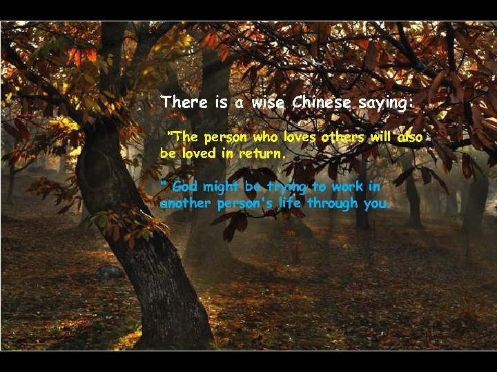 There is a wise Chinese saying: "The person who loves others will also be