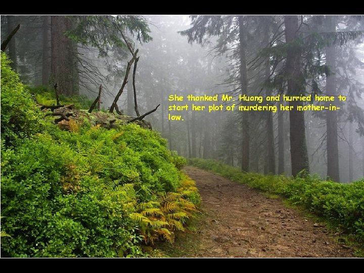 She thanked Mr. Huang and hurried home to start her plot of murdering her