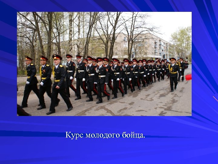 Курс молодого бойца. 