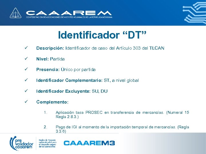 Identificador “DT” ü Descripción: Identificador de caso del Artículo 303 del TLCAN ü Nivel: