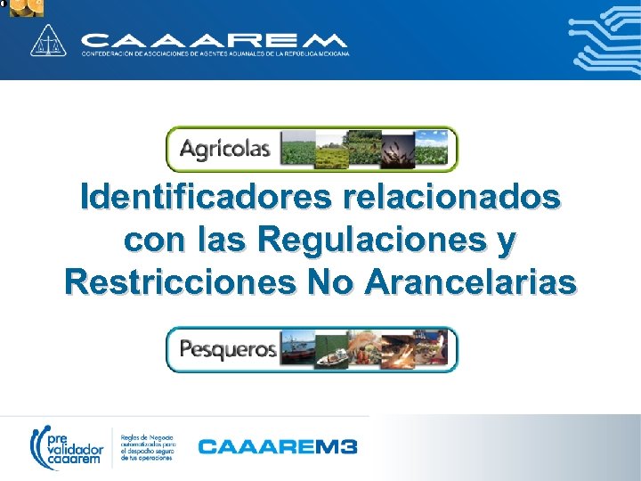 Identificadores relacionados con las Regulaciones y Restricciones No Arancelarias 