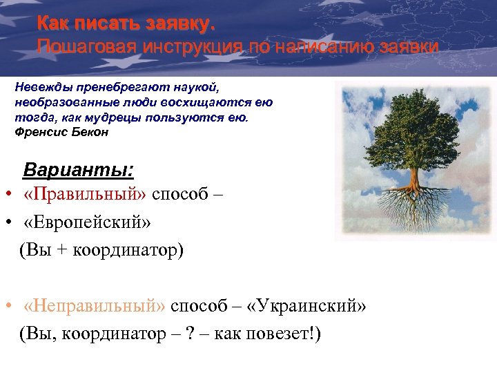 Как Communication & Visibility писать заявку. The Пошаговая инструкция по написанию заявки Manual For