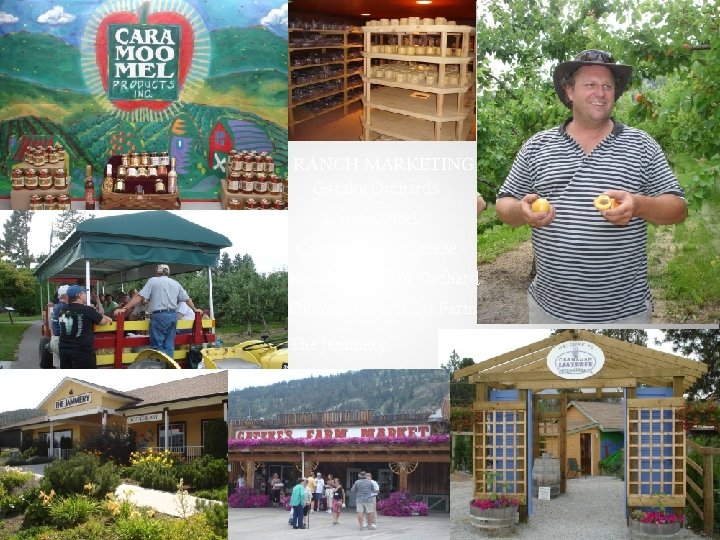 RANCH MARKETING Gatzke Orchards Caramoomel Carmelis Goat Cheese Kelowna Land & Orchard Okanagan Lavender
