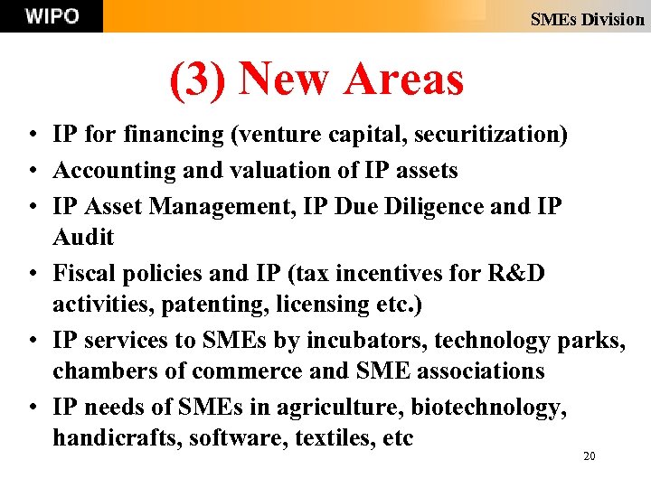 SMEs Division (3) New Areas • IP for financing (venture capital, securitization) • Accounting