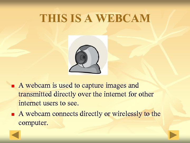 THIS IS A WEBCAM n n A webcam is used to capture images and