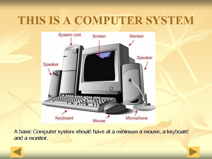 THIS IS A COMPUTER SYSTEM A basic Computer system should have at a minimum