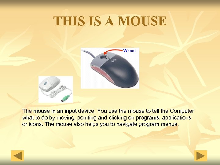 THIS IS A MOUSE The mouse in an input device. You use the mouse