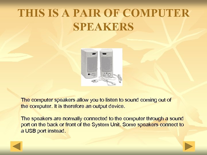 THIS IS A PAIR OF COMPUTER SPEAKERS The computer speakers allow you to listen