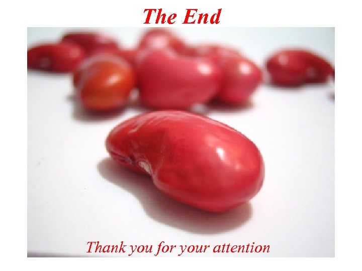 The End Thank you for your attention 