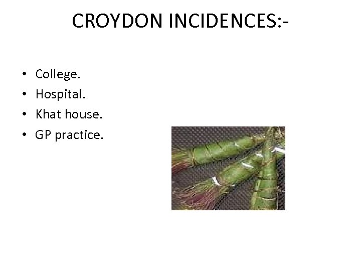 CROYDON INCIDENCES: • • College. Hospital. Khat house. GP practice. 