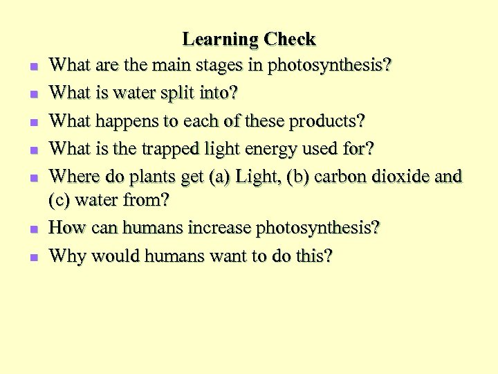 n n n n Learning Check What are the main stages in photosynthesis? What