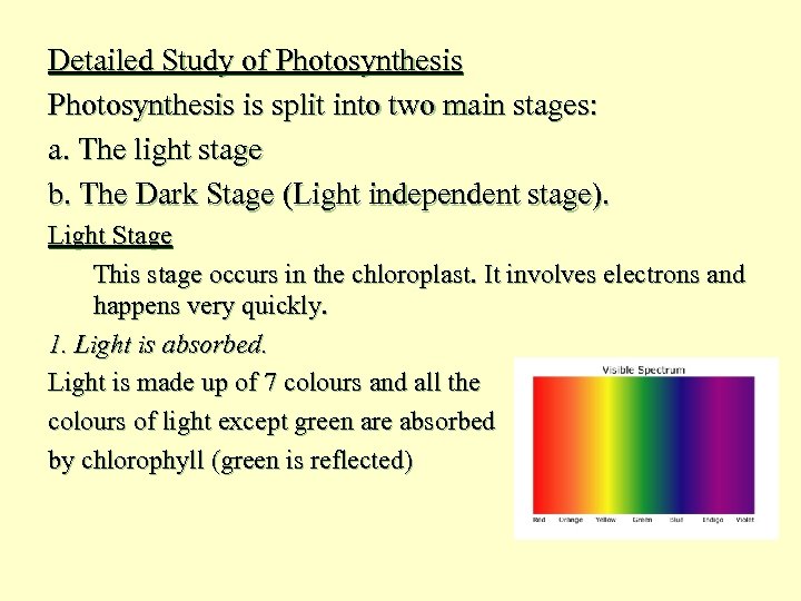 Detailed Study of Photosynthesis is split into two main stages: a. The light stage