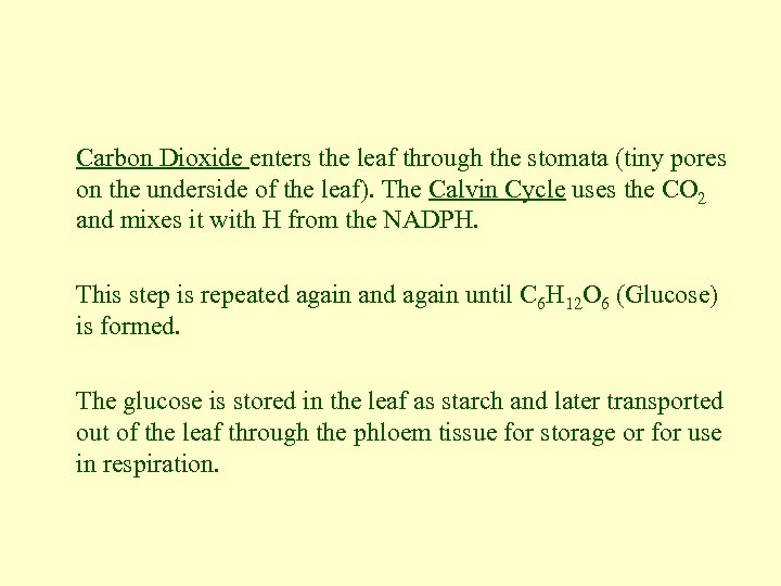 Carbon Dioxide enters the leaf through the stomata (tiny pores on the underside of
