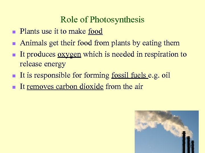 Role of Photosynthesis n n n Plants use it to make food Animals get