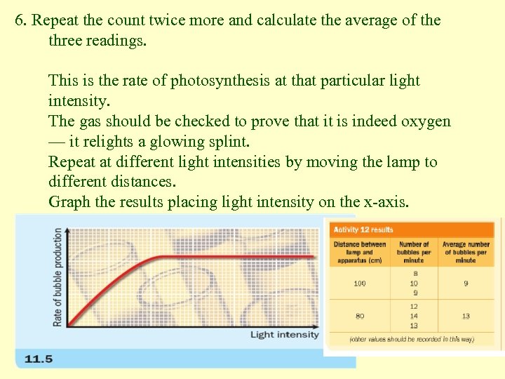 6. Repeat the count twice more and calculate the average of the three readings.