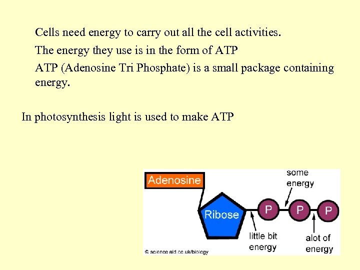 Cells need energy to carry out all the cell activities. The energy they use