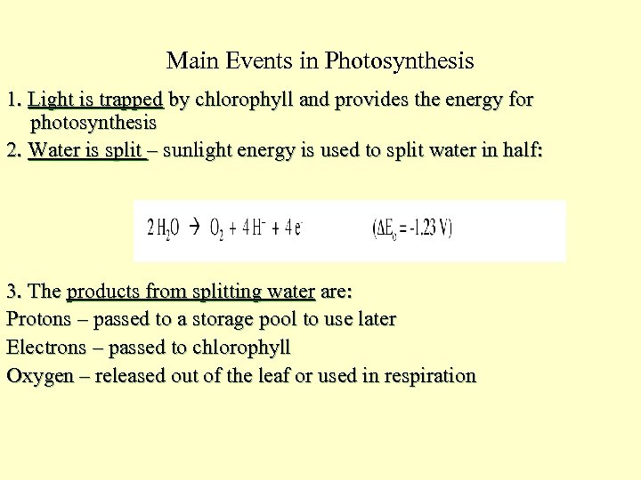 Main Events in Photosynthesis 1. Light is trapped by chlorophyll and provides the energy