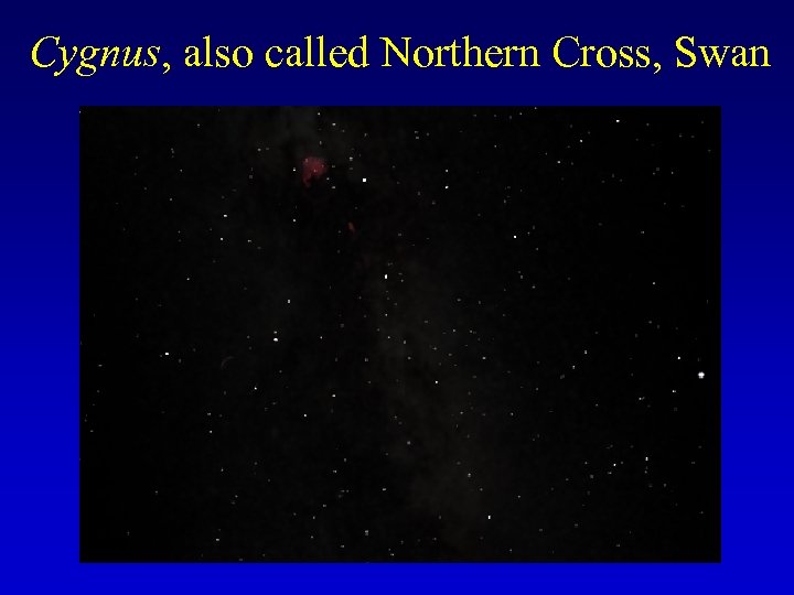 Cygnus, also called Northern Cross, Swan 