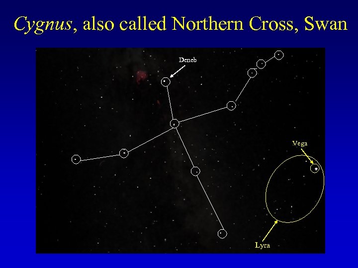 Cygnus, also called Northern Cross, Swan Deneb Vega Lyra 