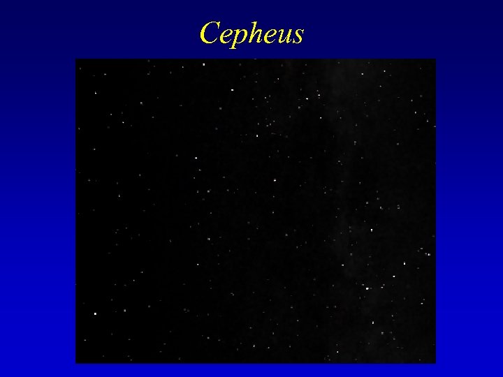 Cepheus 