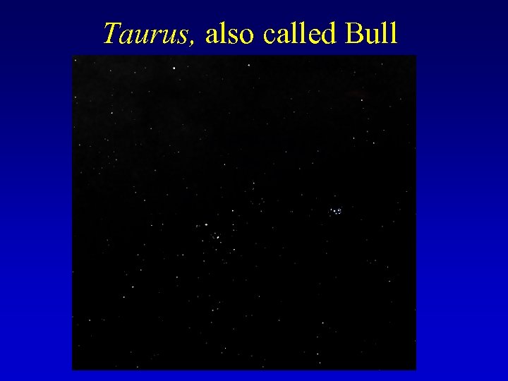 Taurus, also called Bull 