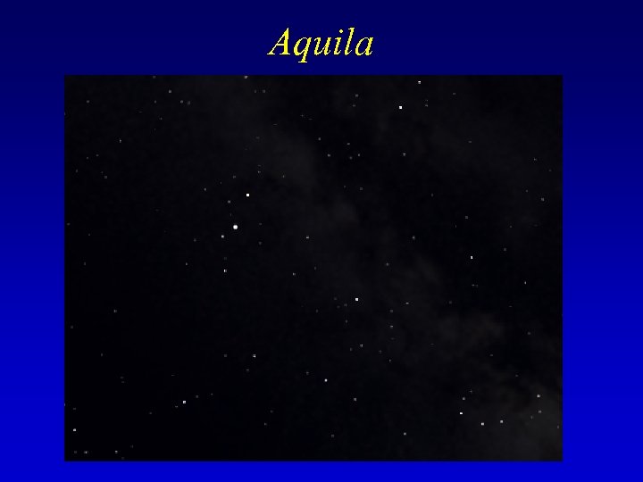 Aquila 