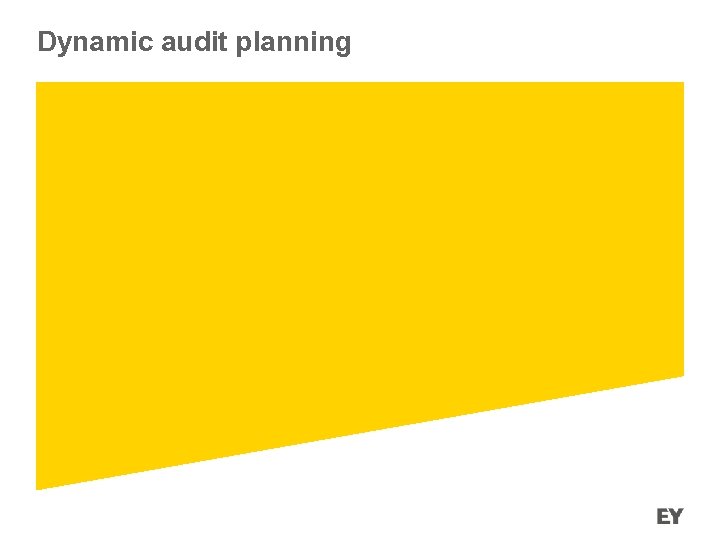 Dynamic audit planning 