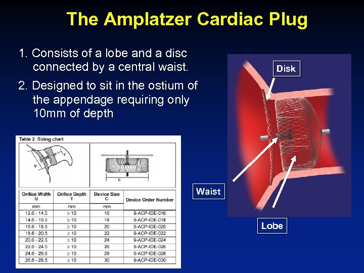 The Amplatzer Cardiac Plug 1. Consists of a lobe and a disc connected by