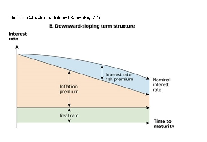 The Term Structure of Interest Rates (Fig. 7. 4) 