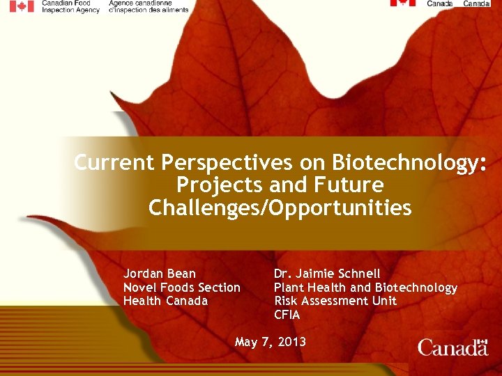 Current Perspectives on Biotechnology: Projects and Future Challenges/Opportunities Jordan Bean Novel Foods Section Health