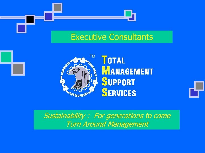 Executive Consultants TM Sustainability : For generations to come Turn Around Management 