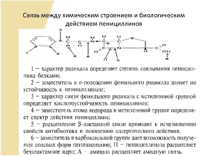 Связь действие