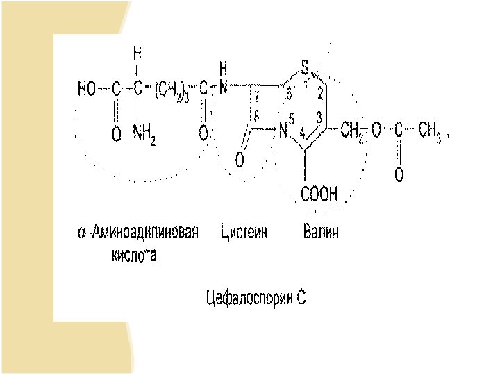 Лекция 8 Анализ производных β -лактамидов пенициллинов