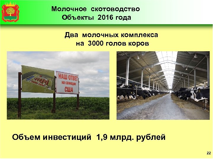 Молочное скотоводство Объекты 2016 года Два молочных комплекса на 3000 голов коров Объем инвестиций