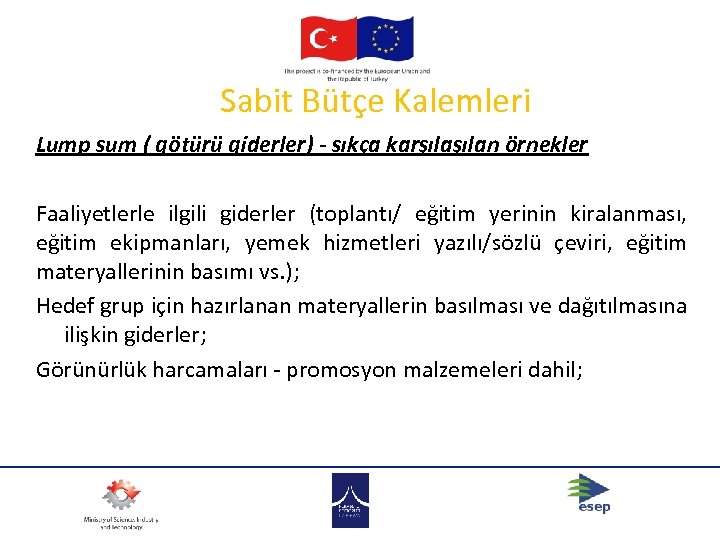 Sabit Bütçe Kalemleri Lump sum ( götürü giderler) - sıkça karşılan örnekler Faaliyetlerle ilgili