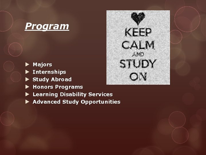 Program Majors Internships Study Abroad Honors Programs Learning Disability Services Advanced Study Opportunities 