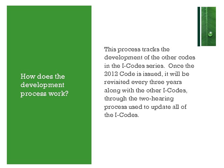 How does the development process work? This process tracks the development of the other