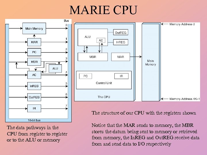 MARIE CPU The structure of our CPU with the registers shown The data pathways
