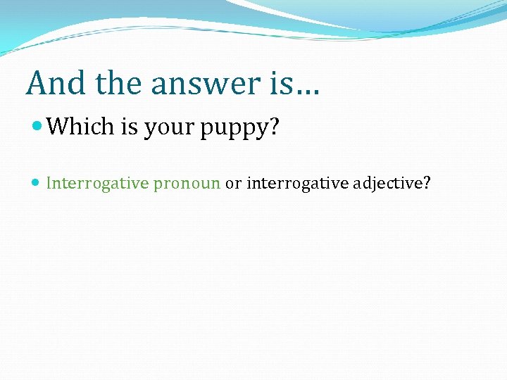 And the answer is… Which is your puppy? Interrogative pronoun or interrogative adjective? 