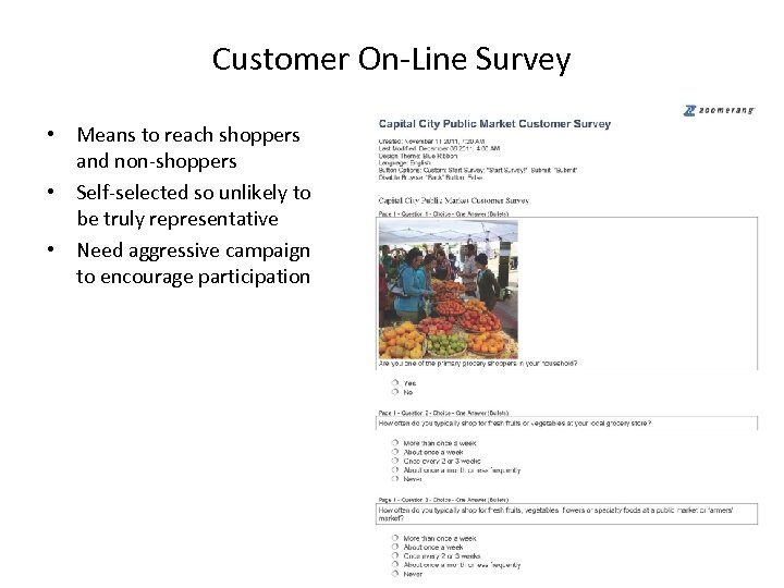 Customer On-Line Survey • Means to reach shoppers and non-shoppers • Self-selected so unlikely