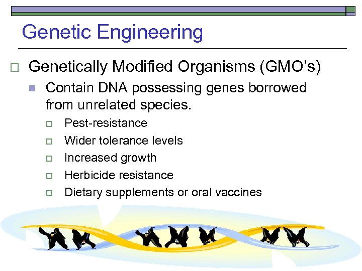 Genetic Engineering o Genetically Modified Organisms (GMO’s) n Contain DNA possessing genes borrowed from