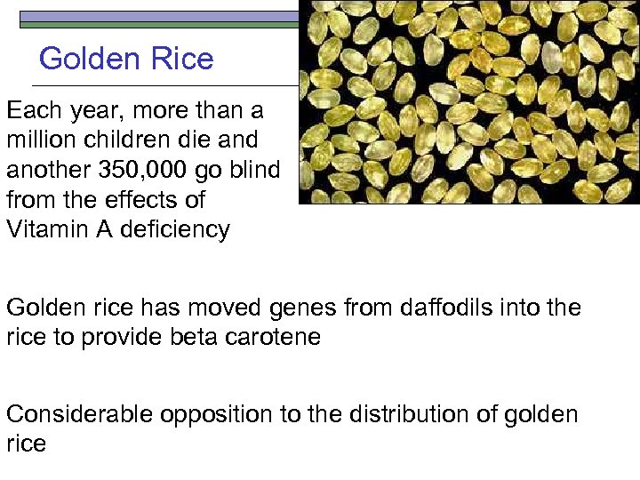 Golden Rice Each year, more than a million children die and another 350, 000