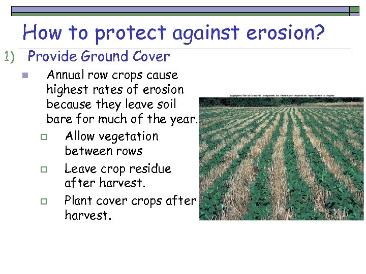 How to protect against erosion? 1) Provide Ground Cover n Annual row crops cause